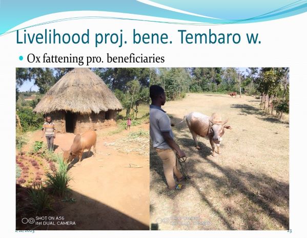 Livelihood project. beneficiary. Tembaro woreda.